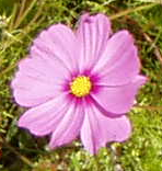 Изображение после применения фильтра Разобрать (слева) и после фильтра Собрать (справа)