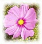 Пример с параметром Добавить тень