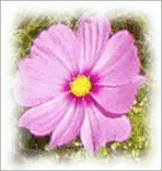 Пример с параметром Добавить тень