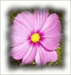 Пример с параметром Добавить тень