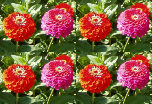 Пример применения фильтра Черепица