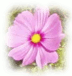 Пример параметра Дефокусировка