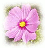 Пример параметра Дефокусировка