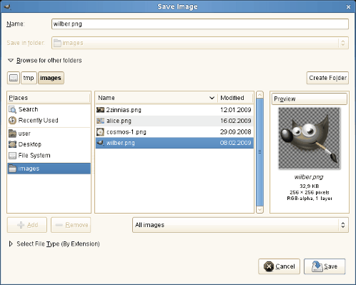 The Save Image dialog (Browser)