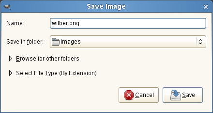 The basic Save Image dialog