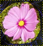 Передний план приблизительно выделен