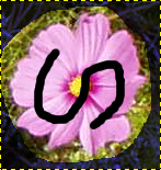 Линия, нарисованная на переднем плане