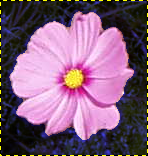 Область, которая будет выделена