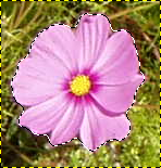 Объект переднего плана выделен