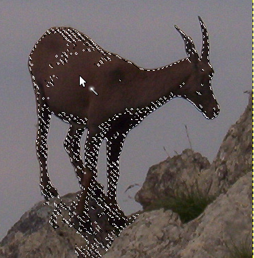 Использование молшебной палочки: выделенные пикселы являются смежными