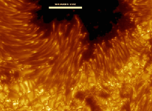 Пример отражения изображения