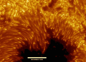 Пример отражения изображения