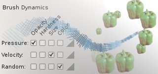 Динамика кисти