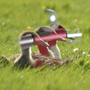 Пример для режима слоя Только светлое