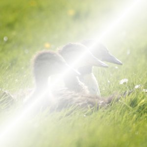 Пример для режима слоя Экран