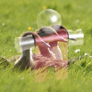 Пример для режима слоя Экран