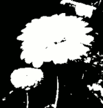 Исходное изображение, разобранное изображение и его диалог слоёв