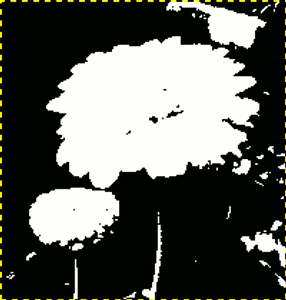 Выделенный слой после установки порога