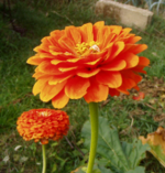 Исходное изображение, разобранное изображение и его диалог слоёв